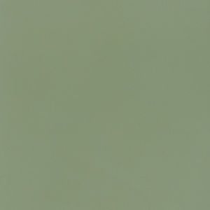 Meet your Posher, Faith